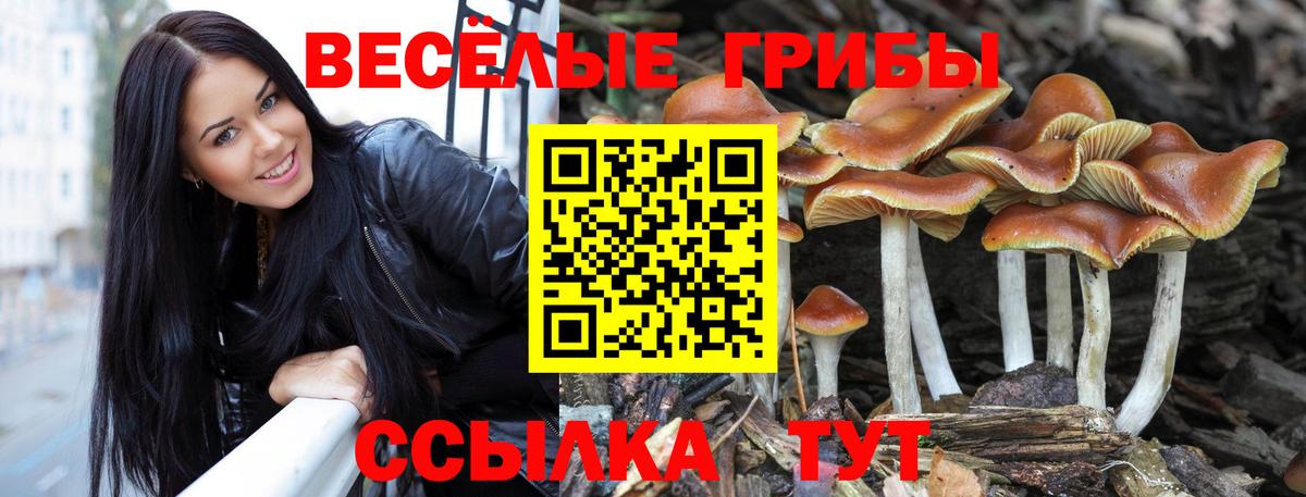 Галлюциногенные грибы Psilocybine cubensis  Вход с VPN  Сургут 